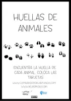 Vista previa - Unidades / Secuencias / Situaciones de Aprendizaje - PACK ACTIVIDADES ANIMALES. CASTELLANO Y CATALÁN - página 3