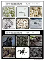 Aperçu - Jeux - Loto-des-couleurs - Page 3