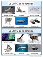 Aperçu - Jeux - Loto-de-la-banquise-animaux-polaires-culture-nordique - Page 2