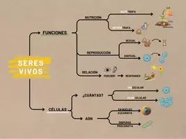 Vista previa - Refuerzo / NEE / Materiales de apoyo - Mapa seres vivos - Portada