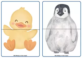 Προεπισκόπηση - Flashcards - Ζωάκια παζλ από 2 έως 8 κομμάτια - Σελίδα 3