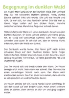 Aperçu - Fiches - adjectifs en allemand -exercices adjektive - Page 1