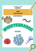 Vista previa - Refuerzo / NEE / Materiales de apoyo - Biologia 1 ESO Examen sobre los Invertebrados - Portada