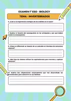 Vista previa - Refuerzo / NEE / Materiales de apoyo - Biologia 1 ESO Examen sobre los Invertebrados - página 2