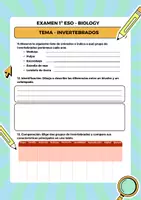 Vista previa - Refuerzo / NEE / Materiales de apoyo - Biologia 1 ESO Examen sobre los Invertebrados - página 3