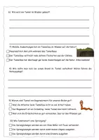 Vorschau - Arbeitsblätter - Quiz zum Tunnel-Check (mit Lösung) - Seite 1