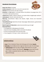 Vorschau - Arbeitsblätter - Vom Steckbrief zum Sachtext! - Deckblatt