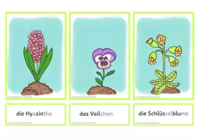 Vorschau - Arbeitsblätter - Materialpaket rund um Frühblüher - Seite 2