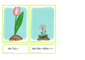 Vorschau - Arbeitsblätter - Materialpaket rund um Frühblüher - Seite 3