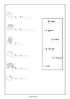 Aperçu - Cartes d'exercices - Activité didactique sur le thème des fruits en italien. - Page 2