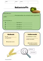 Vorschau - Arbeitsblätter - Kohlenhydrate und Ballaststoffe Unterrichtseinheit + Rezept - Seite 1