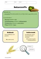 Vorschau - Arbeitsblätter - Kohlenhydrate und Ballaststoffe Unterrichtseinheit + Rezept - Seite 2