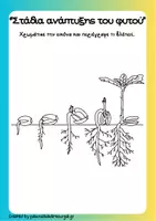Προεπισκόπηση - Φύλλα εργασίας - Υλικό για την ενότητα “Οι σπόροι & πώς μεγαλώνουν τα φυτά;” - Σελίδα 1