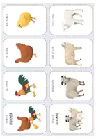 Vorschau - Spiele - Quartett Tierfamilien - Seite 1