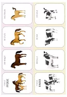 Vorschau - Spiele - Quartett Tierfamilien - Seite 2