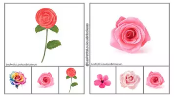 Aperçu - Apprentissages en autonomie - FICHES CARTES A PINCER FLEUR PDF - Page 2