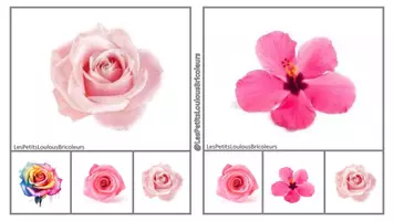 Aperçu - Apprentissages en autonomie - FICHES CARTES A PINCER FLEUR PDF - Page de couverture