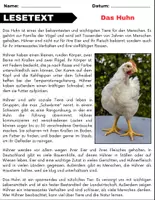 Vorschau - Arbeitsblätter - Das Huhn: Leseverständnis und Kreuzworträtsel mit Lösungen - Seite 1