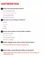 Vorschau - Arbeitsblätter - Das Huhn: Leseverständnis und Kreuzworträtsel mit Lösungen - Seite 3