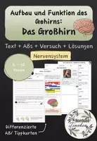 Vorschau - Arbeitsblätter - Das Gehirn: Aufbau und Funktion des Großhirns // Nervensystem - Deckblatt