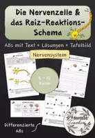 Vorschau - Arbeitsblätter - Die Nervenzelle & das Reiz-Reaktions-Schema // Nervensystem - Deckblatt