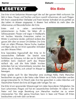Vorschau - Spiele - Die Ente: Leseverständnis und Kreuzworträtsel mit Lösungen - Seite 1