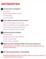 Vorschau - Spiele - Die Ente: Leseverständnis und Kreuzworträtsel mit Lösungen - Seite 3