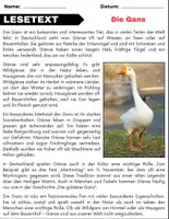 Vorschau - Arbeitsblätter - Die Gans: Leseverständnis und Kreuzworträtsel mit Lösungen - Seite 1