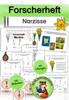 Vorschau - Arbeitsblätter - Forscherheft Narzisse Frühblüher Klasse 1 2 3 4 - Deckblatt