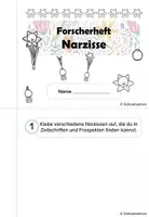 Vorschau - Arbeitsblätter - Forscherheft Narzisse Frühblüher Klasse 1 2 3 4 - Seite 2