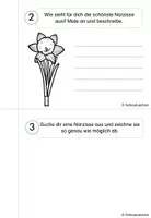Vorschau - Arbeitsblätter - Forscherheft Narzisse Frühblüher Klasse 1 2 3 4 - Seite 3