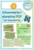 Vorschau - Arbeitsblätter - Wissenskartei/Abschreibkartei Schmetterling (analog und als interaktive PDF) - Deckblatt