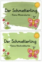Vorschau - Arbeitsblätter - Wissenskartei/Abschreibkartei Schmetterling (analog und als interaktive PDF) - Seite 1