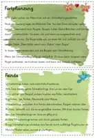 Vorschau - Arbeitsblätter - Wissenskartei/Abschreibkartei Schmetterling (analog und als interaktive PDF) - Seite 2