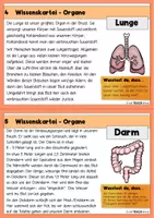 Vorschau - Stationenlernen - Unsere Organe - Wissenskartei + Arbeitsheft - Seite 3