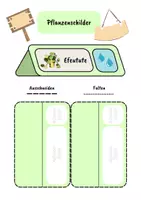 Vorschau - Anderer Materialtyp - Pflanzen im Klassenraum - Schilder und Aufkleber - Editierbar - Seite 3