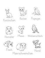 Vorschau - Arbeitsblätter - Arbeitsblätter Haustiere – Wortschatz üben | DaZ A1 | Grundschule - Seite 1