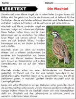 Vorschau - Spiele - Die Wachtel: Leseverständnis und Kreuzworträtsel mit Lösungen - Seite 1