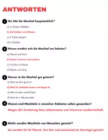 Vorschau - Spiele - Die Wachtel: Leseverständnis und Kreuzworträtsel mit Lösungen - Seite 3