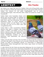 Vorschau - Arbeitsblätter - Die Taube: Leseverständnis und Kreuzworträtsel mit Lösungen - Seite 1
