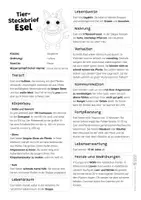 Vorschau - Mal- und Bastelvorlagen - Esel Komplettpaket - mit Lesetext, Steckbrief, Lückentext, Suchsel, Quiz und Ausmalbildern - Seite 1