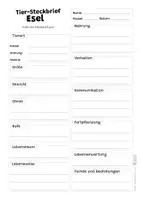 Vorschau - Mal- und Bastelvorlagen - Esel Komplettpaket - mit Lesetext, Steckbrief, Lückentext, Suchsel, Quiz und Ausmalbildern - Seite 2