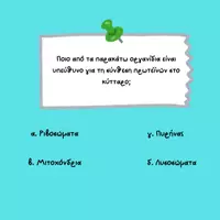 Προεπισκόπηση - Παρουσιάσεις - Quiz Time_Κυτταρική_Βιολογία - Σελίδα 1