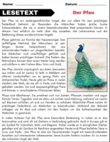 Vorschau - Arbeitsblätter - Der Pfau: Leseverständnis und Kreuzworträtsel mit Lösungen - Seite 1