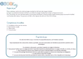 Aperçu - Apprentissages en autonomie - Le jeu du zoom sur les insectes - Page 2