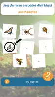 Aperçu - Apprentissages en autonomie - Le jeu de mise en paire mini maxi sur les insectes - Page de couverture
