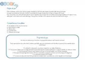 Aperçu - Apprentissages en autonomie - Le jeu de mise en paire mini maxi sur les insectes - Page 3