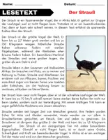 Vorschau - Spiele - Materialpaket: Domestizierte Vögel - Leseverständnis und Kreuzworträtsel mit Lösungen - Seite 1