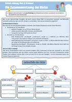 Vorschau - Arbeitsblätter - Die Zusammensetzung des Blutes (Bestandteile des Blutes: Blutplasma, Rote Blutkörperchen, Weiße Blutkörperchen, Blutplättchen: Aufgaben und Funktionen im Körper) - Seite 1