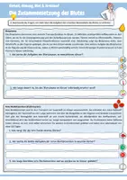 Vorschau - Arbeitsblätter - Die Zusammensetzung des Blutes (Bestandteile des Blutes: Blutplasma, Rote Blutkörperchen, Weiße Blutkörperchen, Blutplättchen: Aufgaben und Funktionen im Körper) - Seite 2
